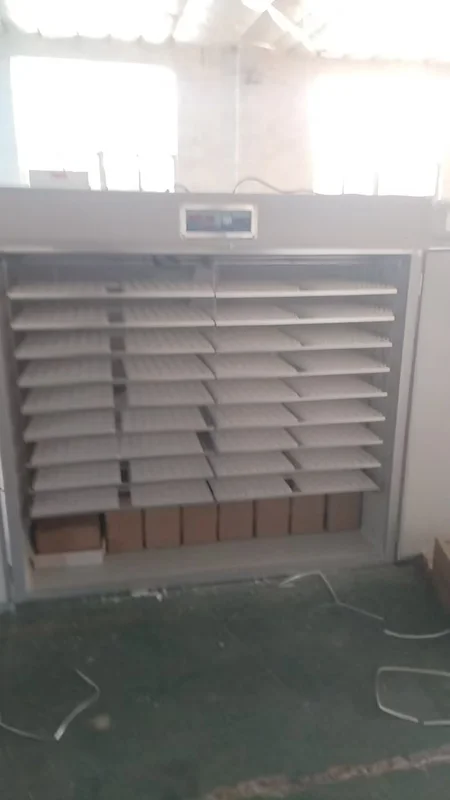 Cross Flow Fans, 220V, 5280 - view 5