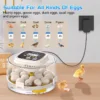 Cross Flow Fans, 3-in-1, LED - view 2