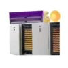 Cross Flow Fans, 4800 V - view 2