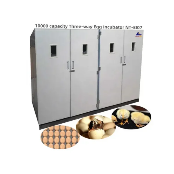 Cross Flow Fans, 4800 V - view 3