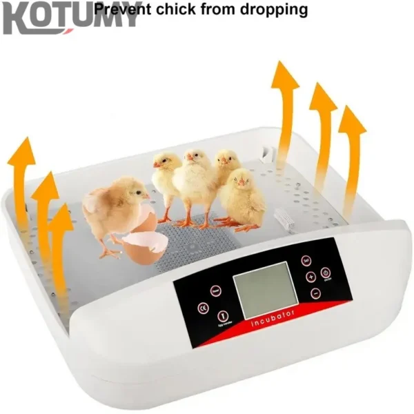 Cross Flow Fans, 56-Egg, 220V - view 2