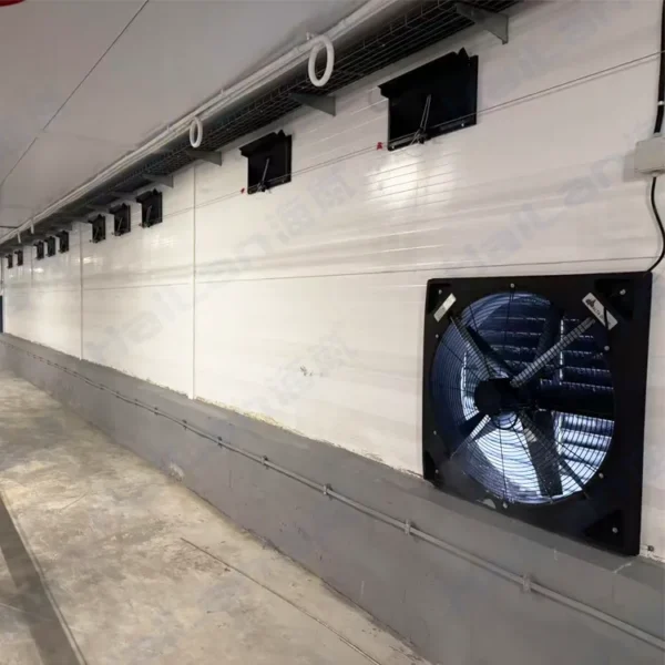 Cross Flow Fans, IP66, 230 V, Electric - view 4