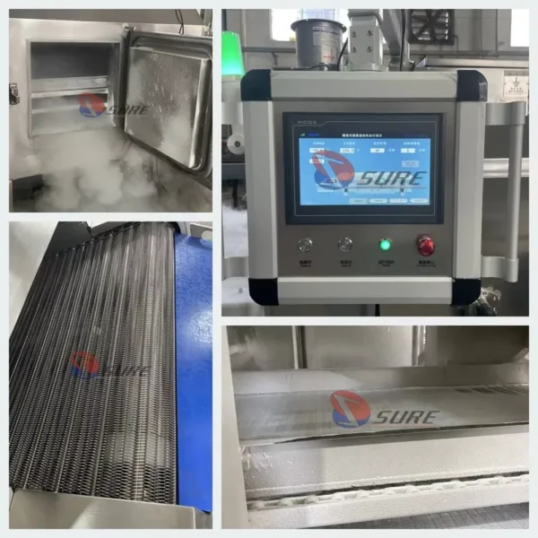 Cryogenic Ln2 Tunnel Freezer, 500-20000kg, Stainless Steel 304 - view 3