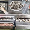 Cryogenic Ln2 Tunnel Freezer, 500-20000kg, Stainless Steel 304 - view 6