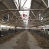 Dairy Cow Fan, Axial, 220v, 50hz - view 5