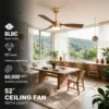 Decorative Led Ceiling Fan, 52-Inch, BLDC, 6-Speed