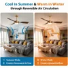 Decorative Led Ceiling Fan, 52-Inch, BLDC, 6-Speed - view 2
