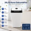 Dehumidifier, Portable, 20L, R290A