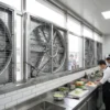 Drive Negative Pressure Fan, 48in, 304, Stainless, Steel