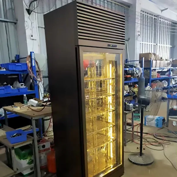 Dry Aging Fridge Refrigerator, 220V-240V, 201 Stainless Steel - view 5