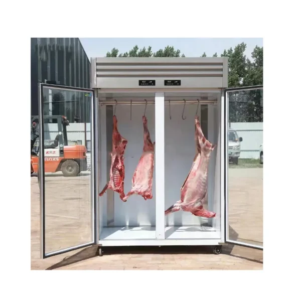 Drying Cabinet Big Fan, 220 V, 201 - view 3