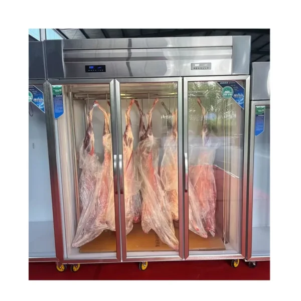Drying Cabinet Big Fan, 220 V, 201 - view 4