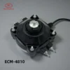 Ec Motors, YZF EC - view 5