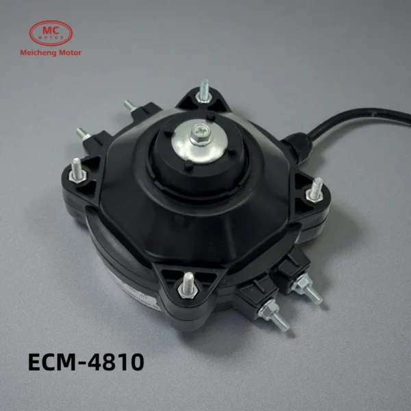 Ec Motors, YZF EC - view 5
