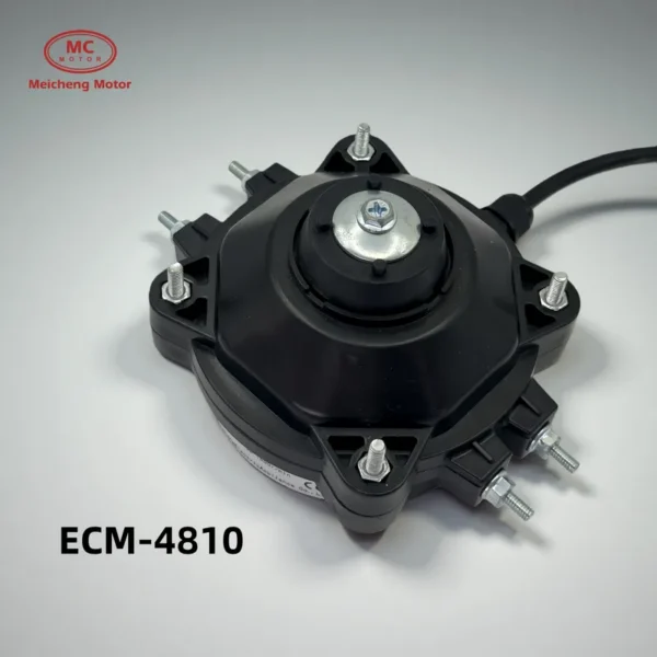 Ec Motors, YZF EC - view 6