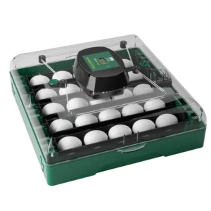 Eggs Capacity and Fan, PROFI, C-72