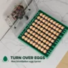 Eggs Capacity and Fan, PROFI, C-72 - view 2