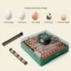 Eggs Capacity and Fan, PROFI, C-72 - view 5