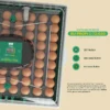 Eggs Capacity and Fan, PROFI, C-72 - view 6