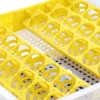 Eggs Chickenduck Incubator Controller, HHD, Xm-18 - view 4