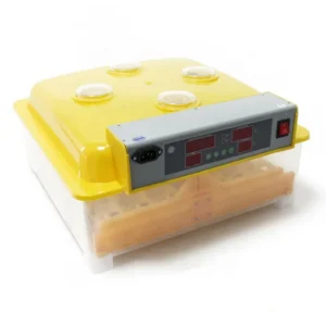 Eggs Core Motor