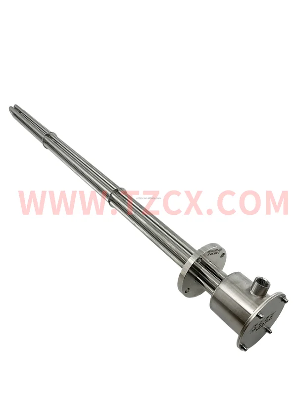 Explosion Proof Immersion Heater, TZCX, 415V - view 4