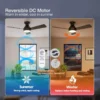 Fan, Ceiling, ZJ-YFS001 - view 4