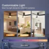 Fan, Ceiling, ZJ-YFS001 - view 6