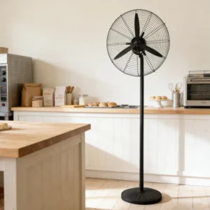 Fan, Electric, Metal, Floor, DC Motor, CE