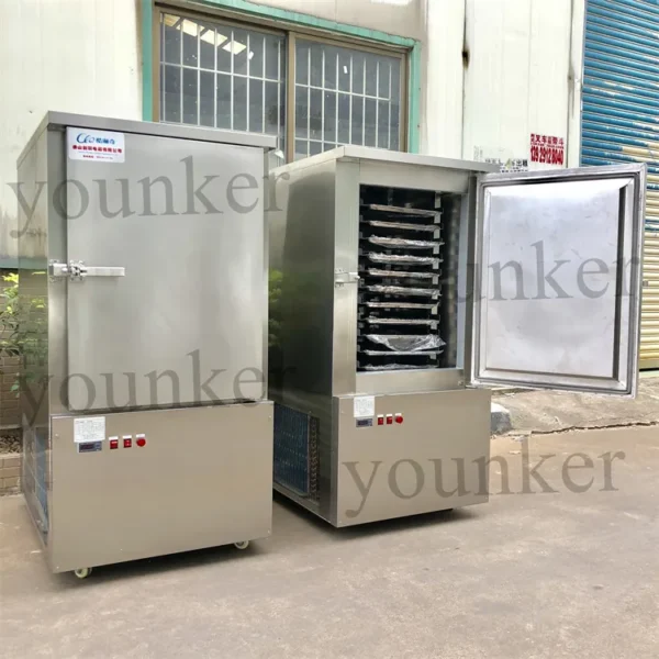 Fast Shock Blast Chiller, Stainless, Steel - view 2