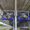 Feet Cowshed Fan, 1120/1220/1380/2000mm, Wall - view 4