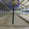 Feet Cowshed Fan, 1120/1220/1380/2000mm, Wall - view 6