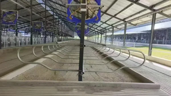 Feet Cowshed Fan, 1120/1220/1380/2000mm, Wall - view 6