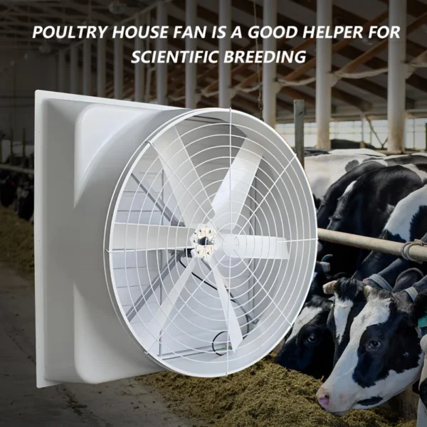 Fiberglass Cone Exhaust Fan, Wall, FRP