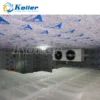 Freezer, 10CBM, 3Tons - view 5