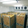 Freezer, 110v~480v, 10 W - view 2