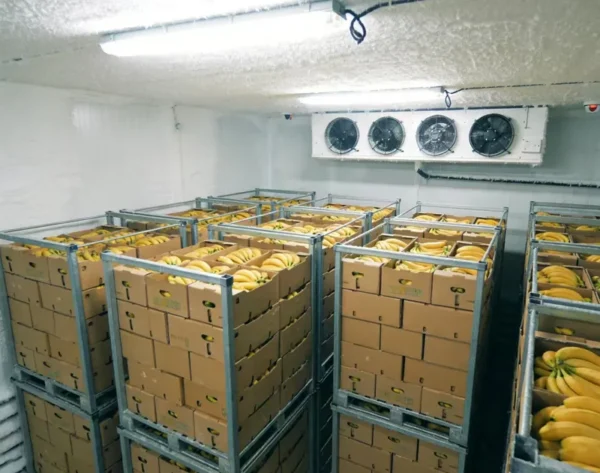 Freezer, 110v~480v, 10 W - view 2