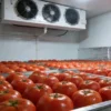 Freezer, 110v~480v, 10 W - view 4