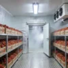 Freezer, 110v~480v, 10 W - view 6