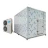 Freezer, 20ft, 110V~480V