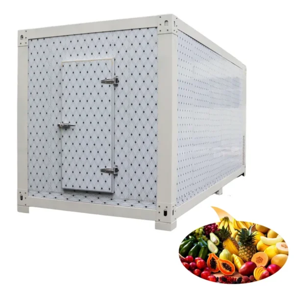 Freezer, 20ft, 110V~480V - view 4