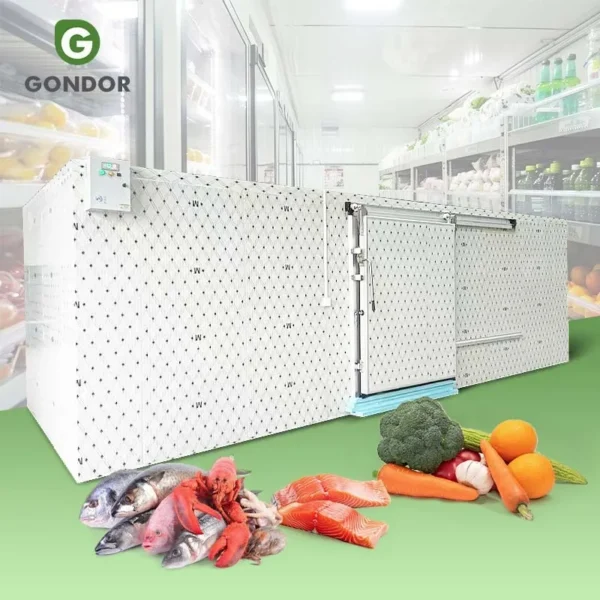 Freezer, 20ft, 220 V