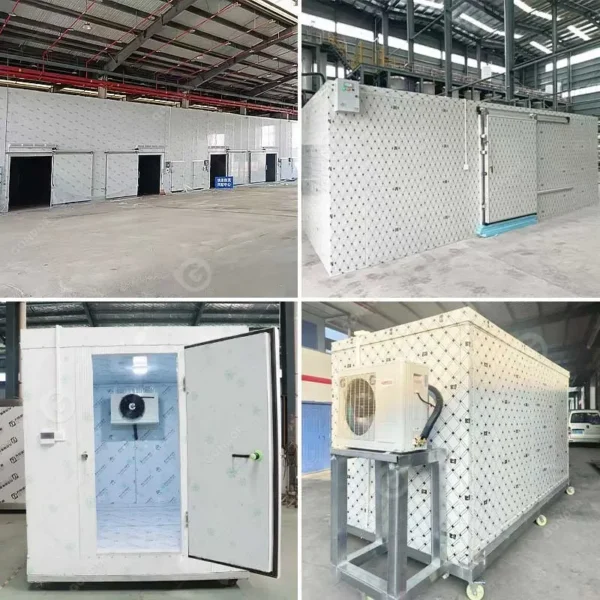 Freezer, 20ft, 220 V - view 2