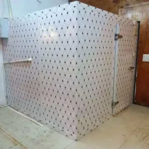 Freezer, 220V, 1500W