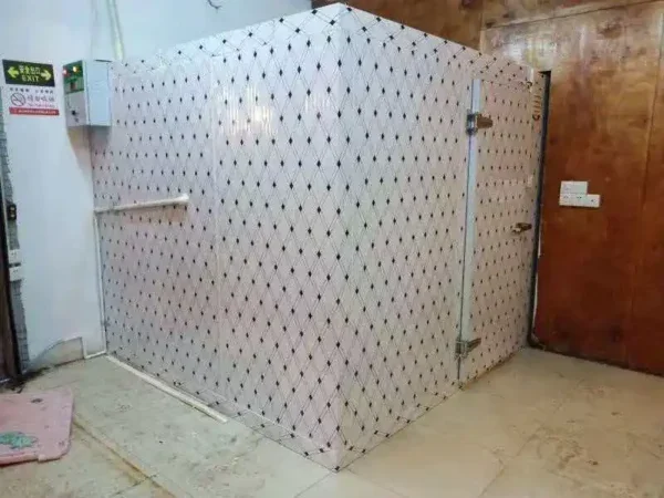 Freezer, 220V, 1500W