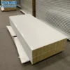 Freezer, cold room panel, I-S-O