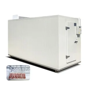 Freezing Chamber Froide Freezer, 220v, > 1000W