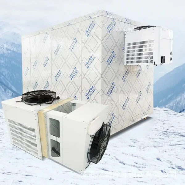 Freezing Chamber Froide Freezer, 220v, > 1000W - view 3