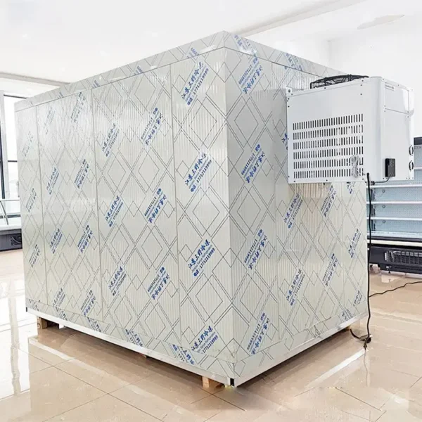 Freezing Chamber Froide Freezer, 220v, > 1000W - view 4