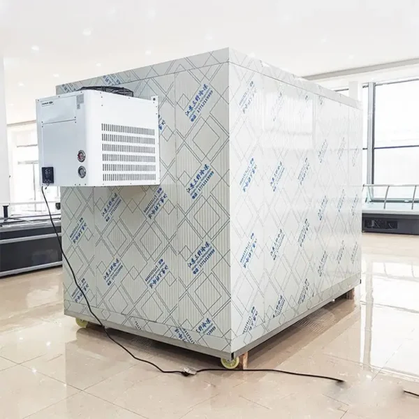 Freezing Chamber Froide Freezer, 220v, > 1000W - view 5